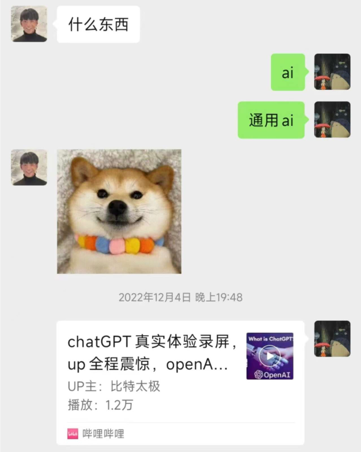 第一次接触 ChatGPT 的聊天记录截图